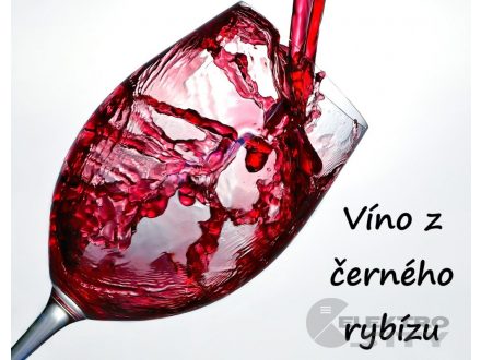 Víno z černého rybízu, alk. 10%, PET 1 litr